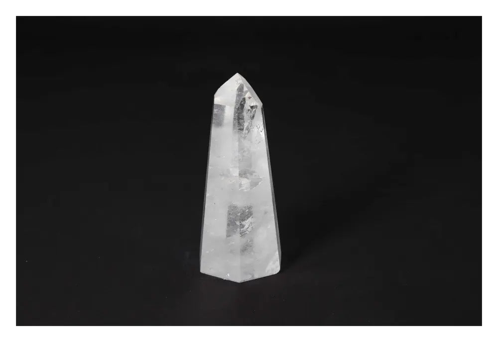 orbitvu|type:image2d