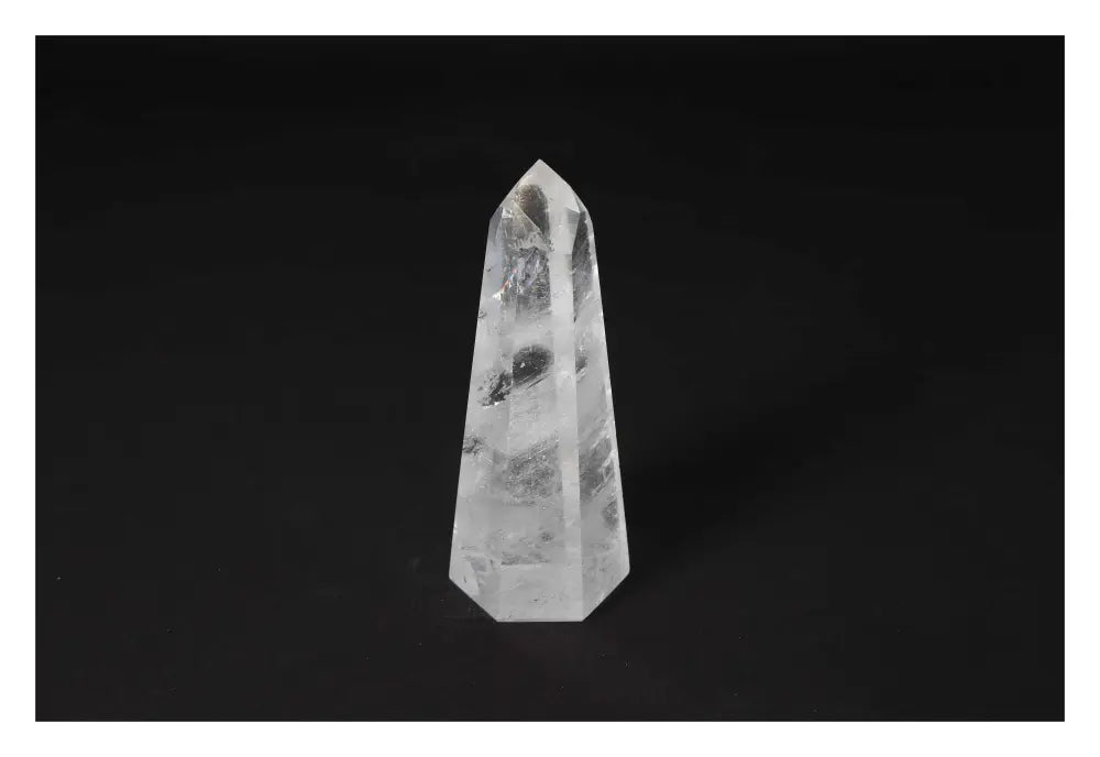 orbitvu|type:image2d