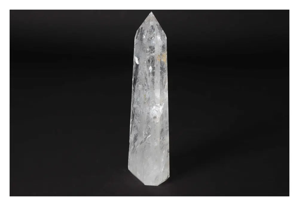 orbitvu|type:image2d