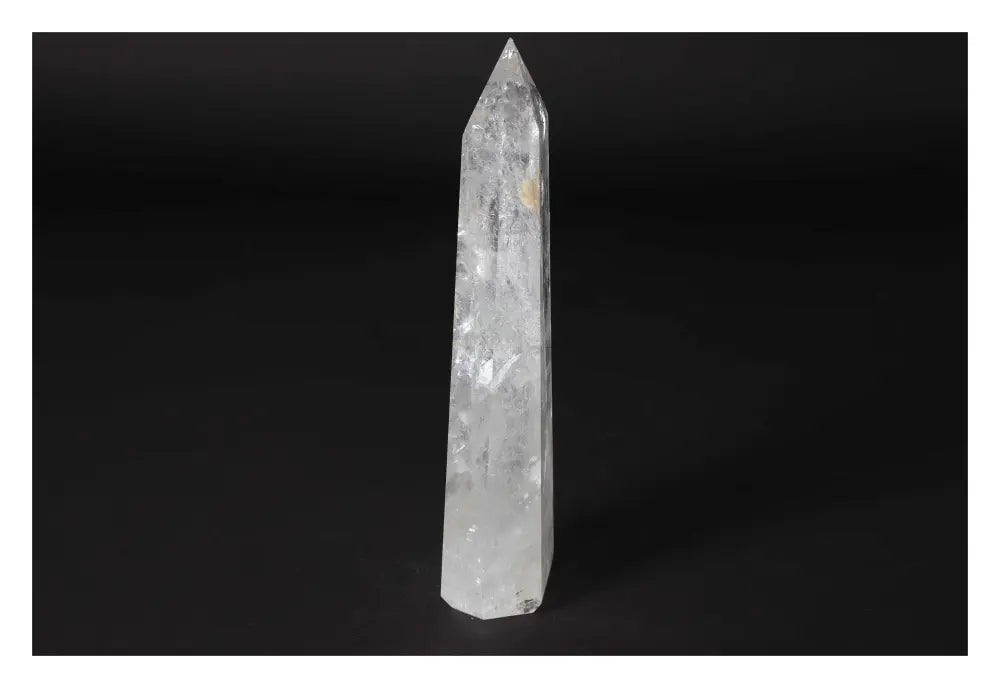 orbitvu|type:image2d