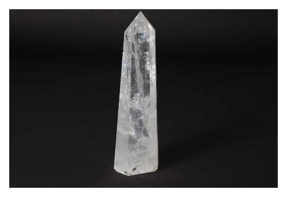 orbitvu|type:image2d