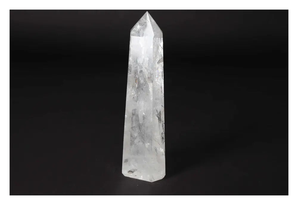 orbitvu|type:image2d