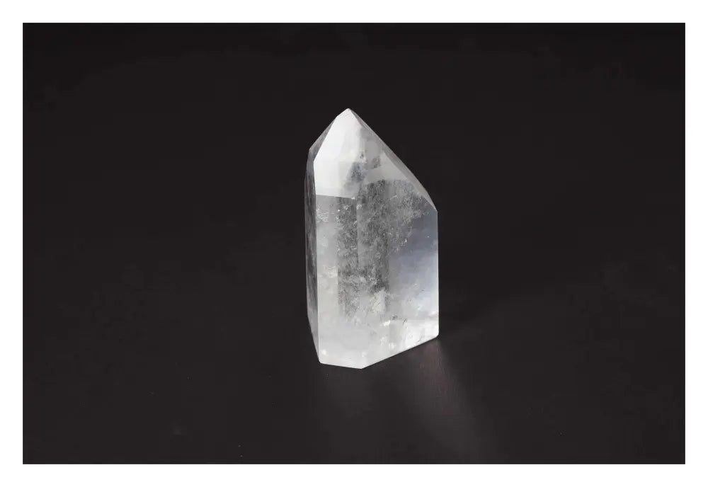 orbitvu|type:image2d