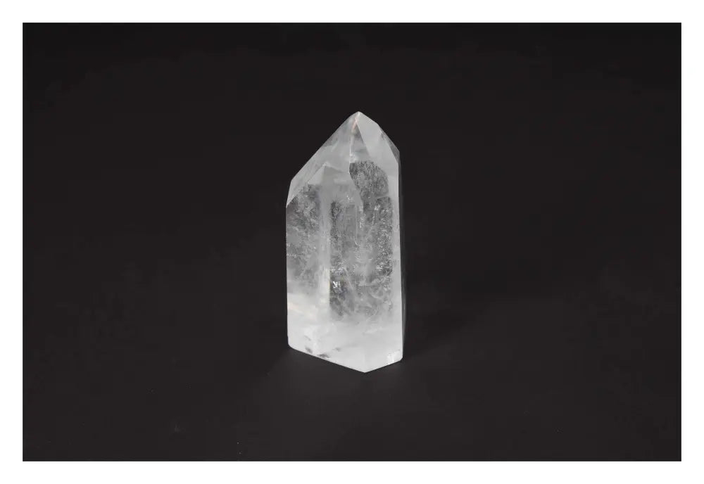 orbitvu|type:image2d