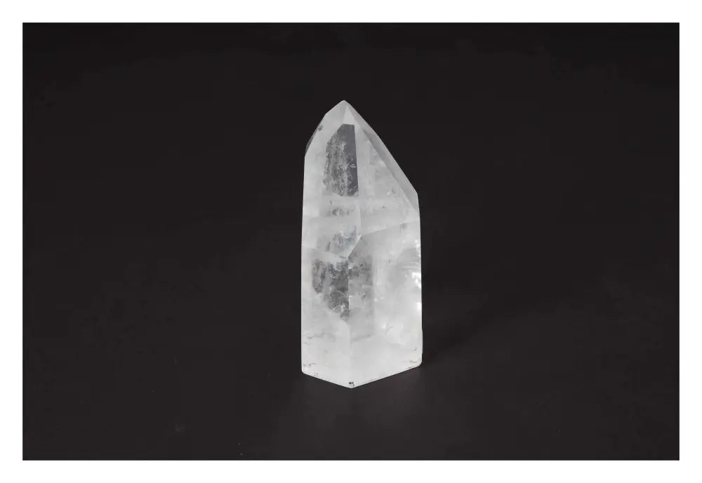 orbitvu|type:image2d