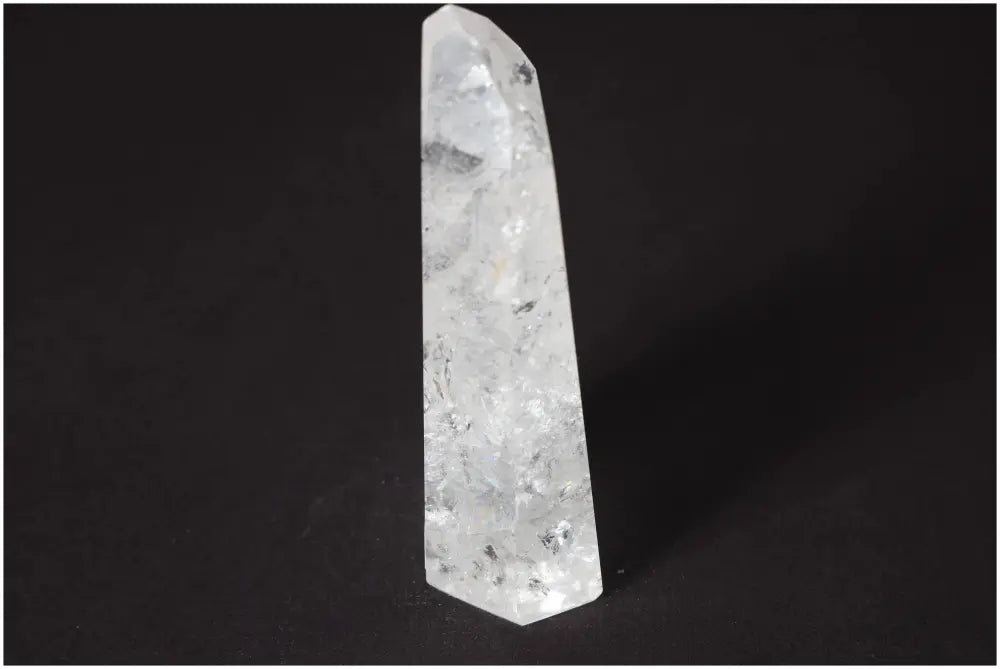 orbitvu|type:image2d