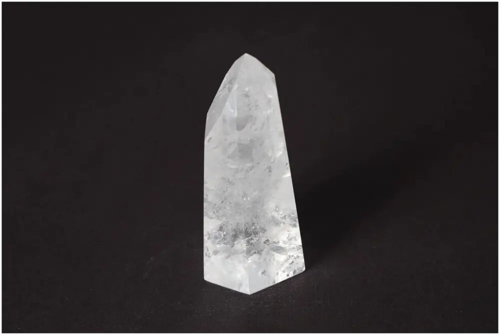 orbitvu|type:image2d