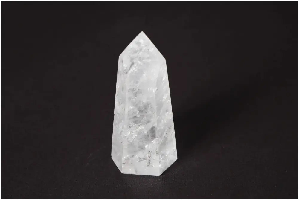 orbitvu|type:image2d