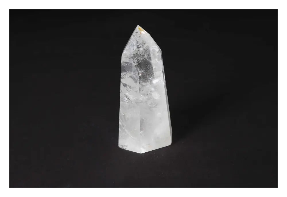 orbitvu|type:image2d