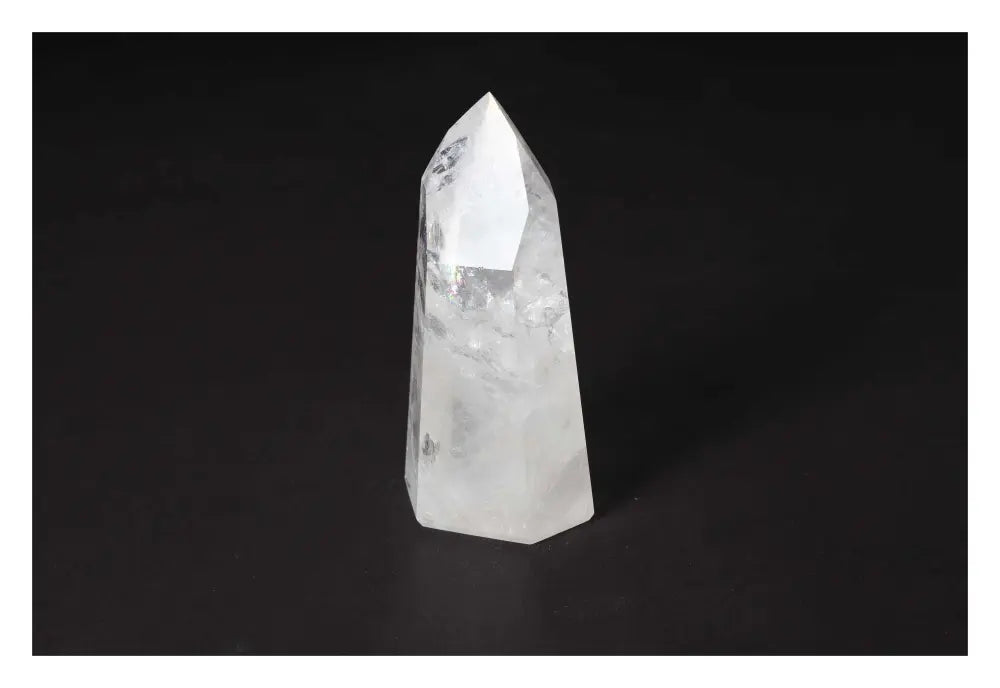 orbitvu|type:image2d