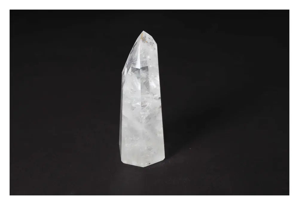 orbitvu|type:image2d