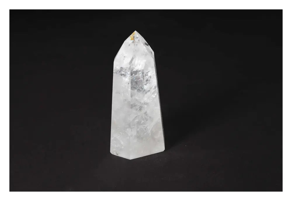 orbitvu|type:image2d