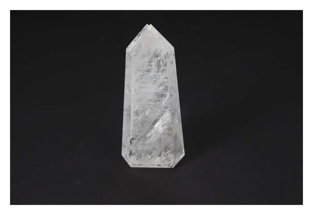 orbitvu|type:image2d