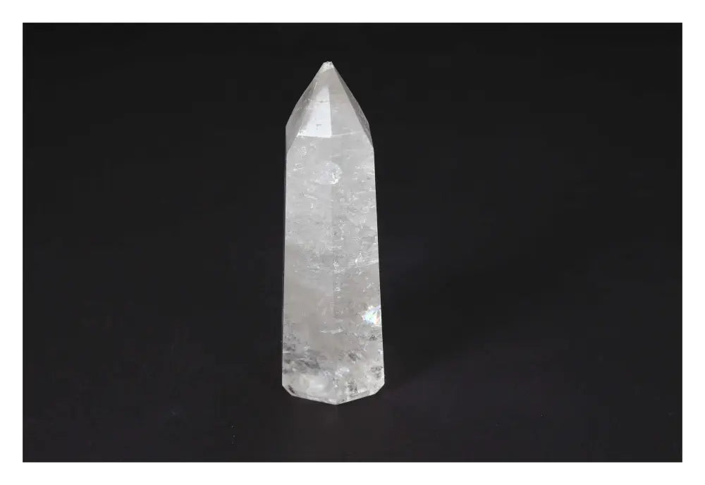 orbitvu|type:image2d