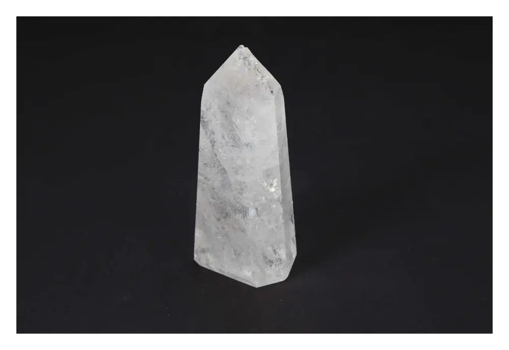 orbitvu|type:image2d