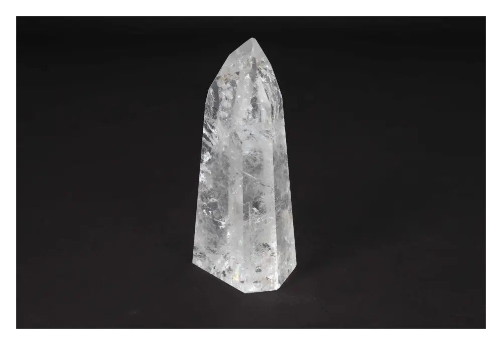 orbitvu|type:image2d