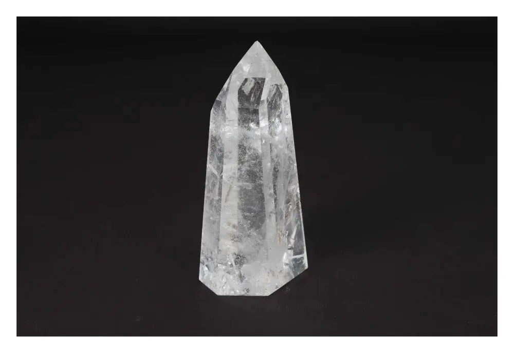 orbitvu|type:image2d