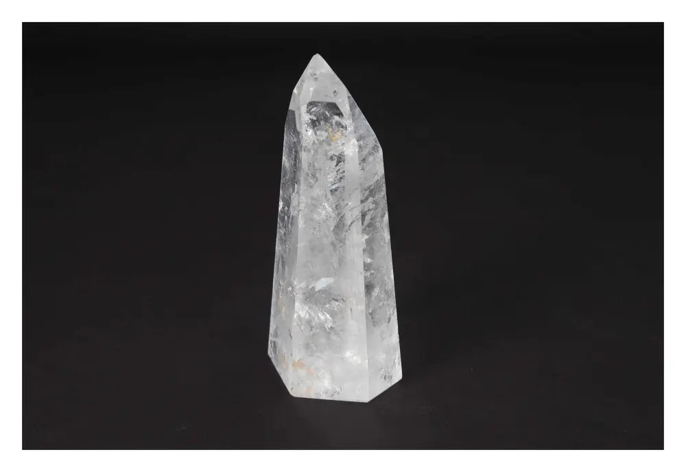 orbitvu|type:image2d