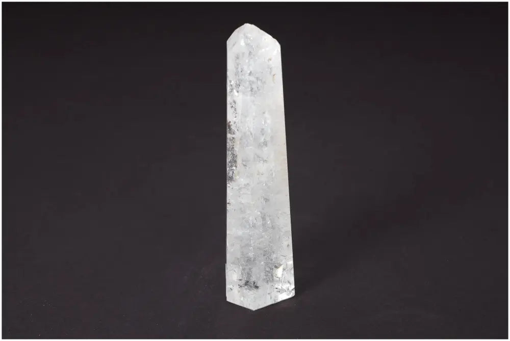 orbitvu|type:image2d