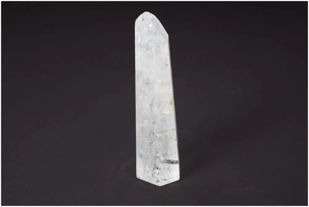 orbitvu|type:image2d