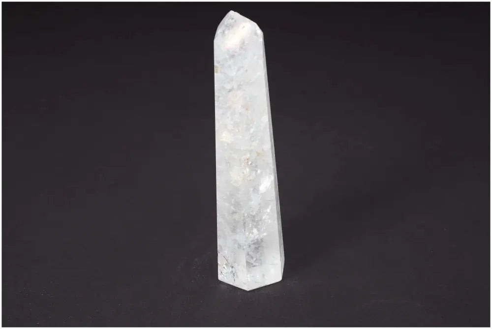 orbitvu|type:image2d