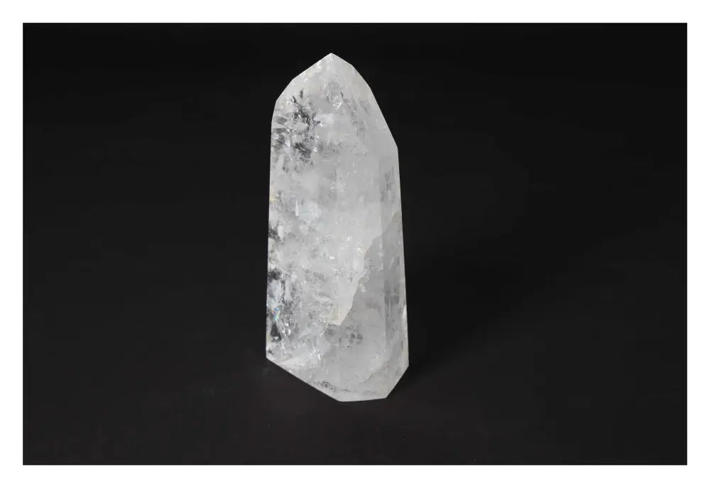 orbitvu|type:image2d