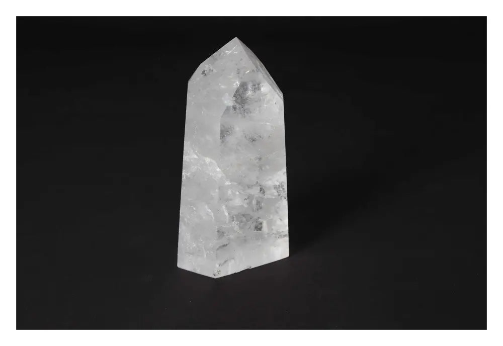 orbitvu|type:image2d