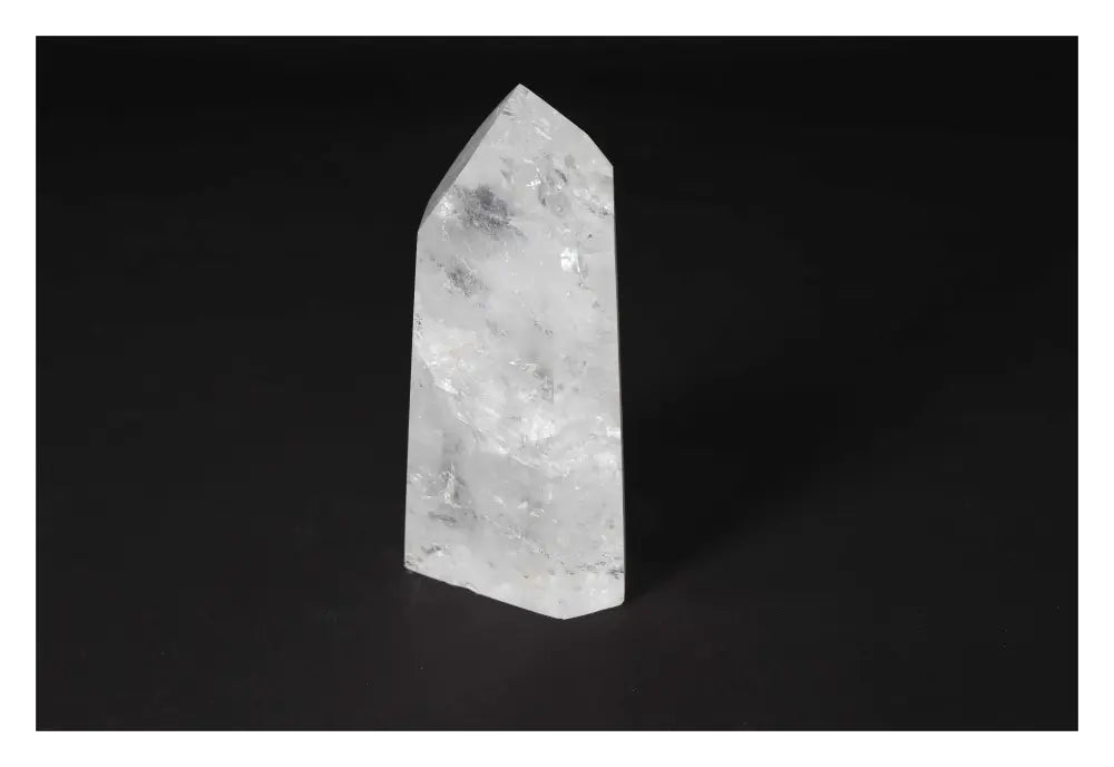 orbitvu|type:image2d