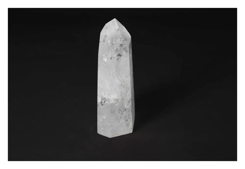 orbitvu|type:image2d