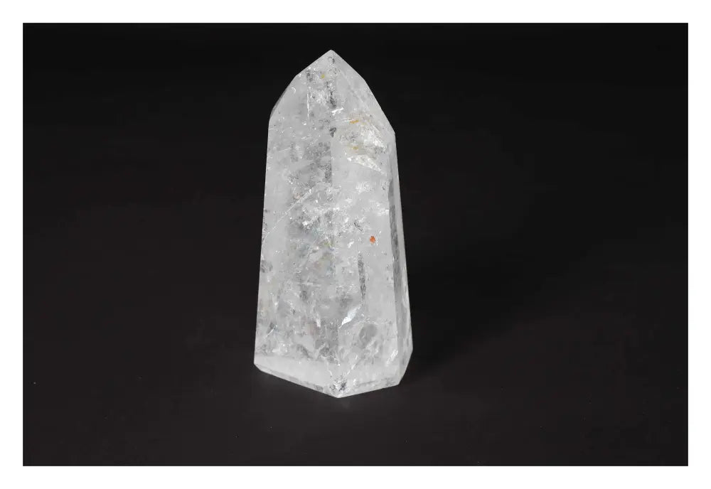 orbitvu|type:image2d