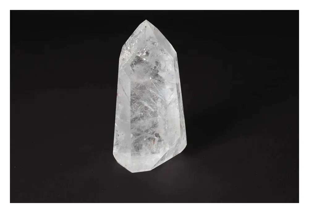 orbitvu|type:image2d