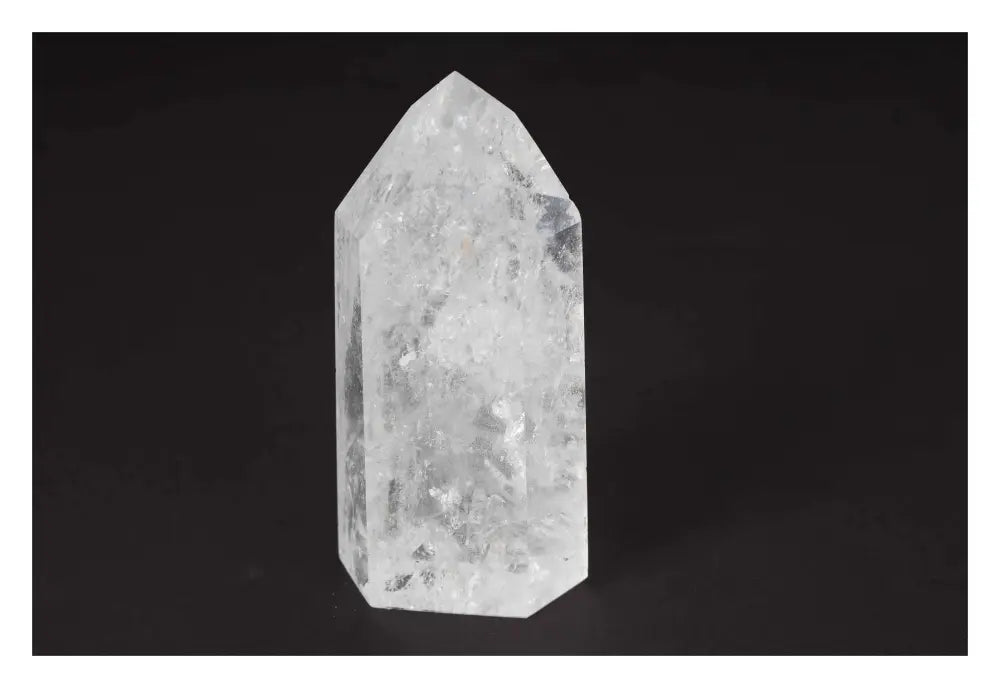 orbitvu|type:image2d