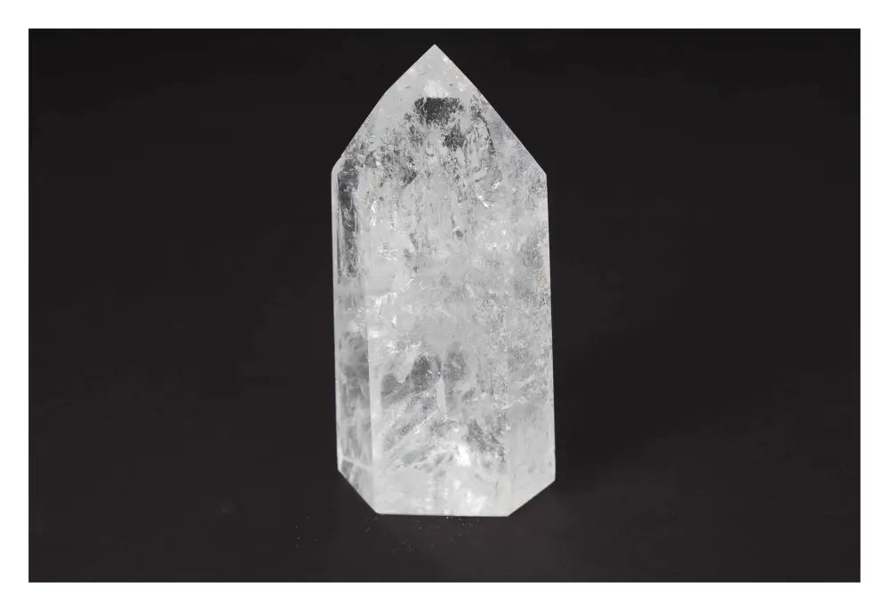 orbitvu|type:image2d