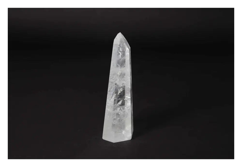 orbitvu|type:image2d