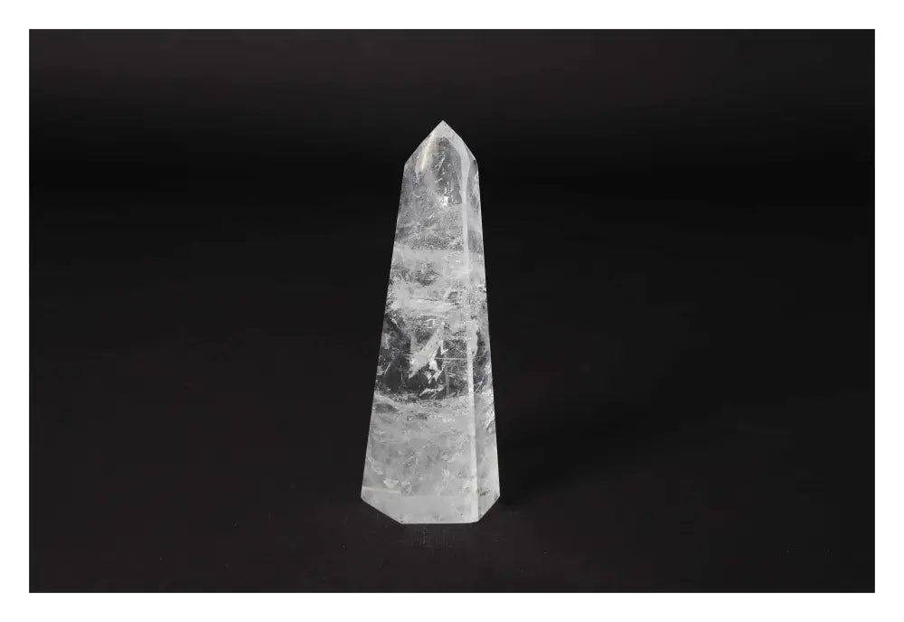 orbitvu|type:image2d