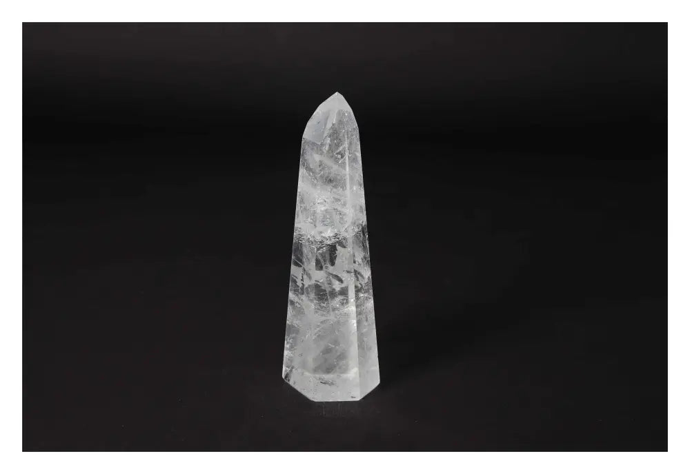 orbitvu|type:image2d