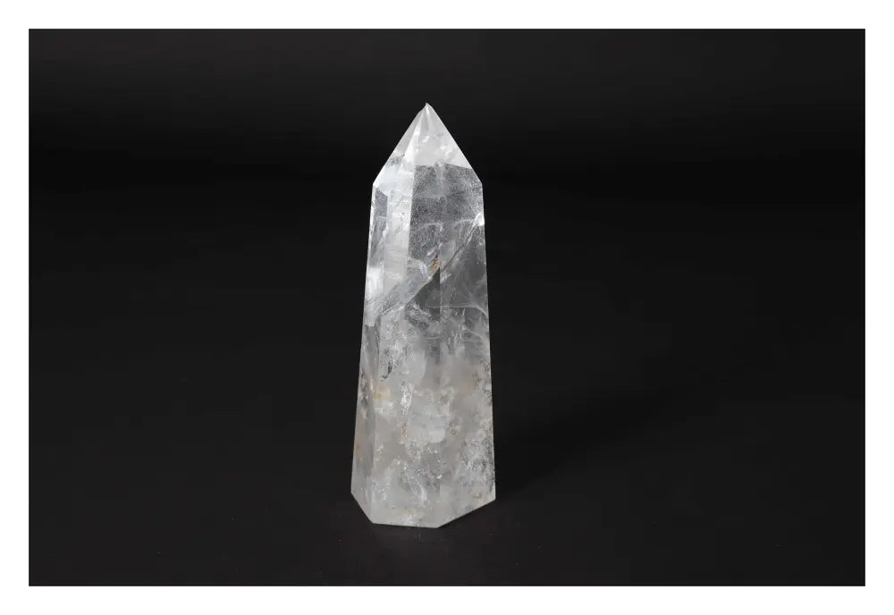 orbitvu|type:image2d