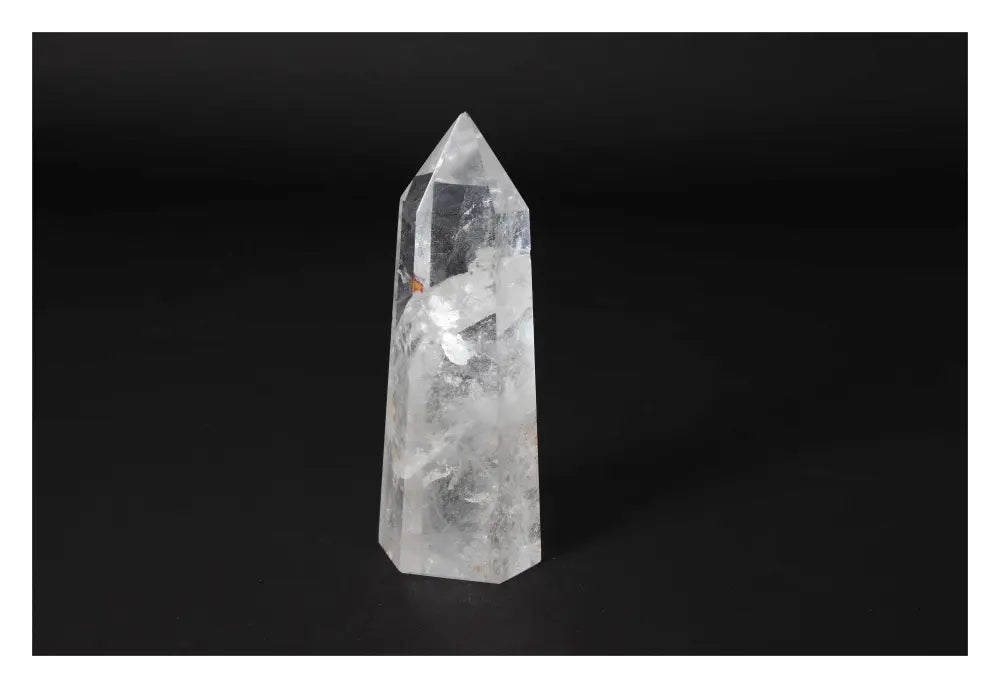 orbitvu|type:image2d