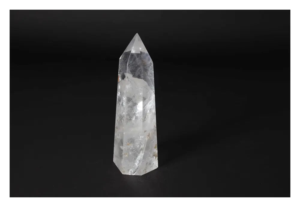 orbitvu|type:image2d