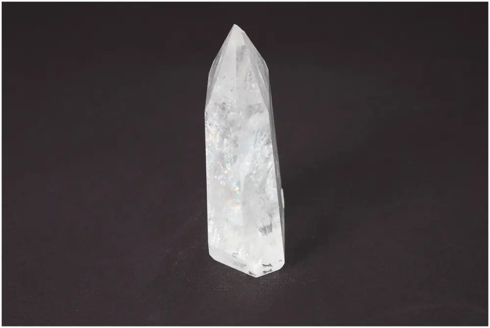 orbitvu|type:image2d