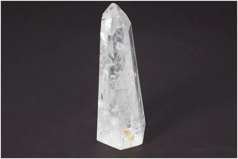 orbitvu|type:image2d