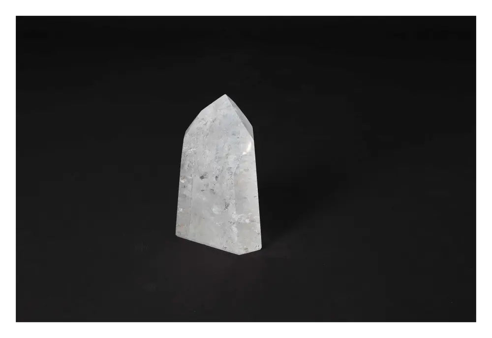 orbitvu|type:image2d