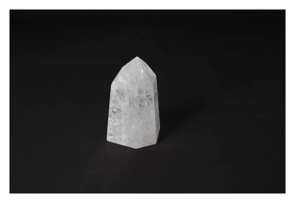 orbitvu|type:image2d