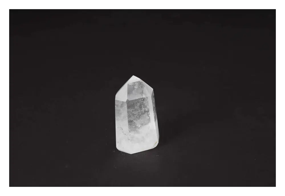 orbitvu|type:image2d