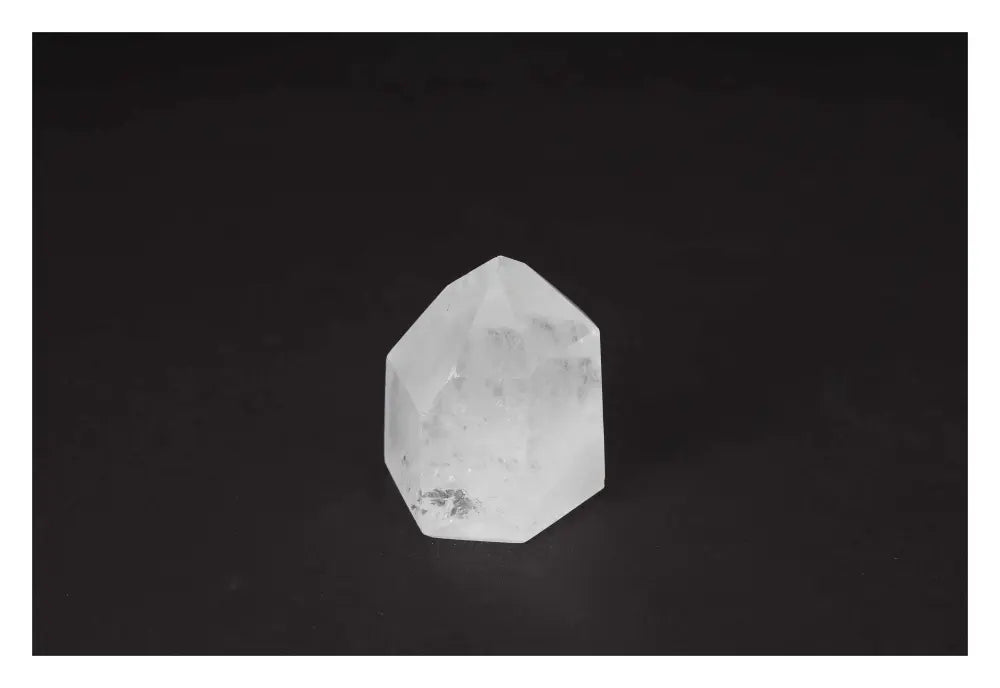 orbitvu|type:image2d