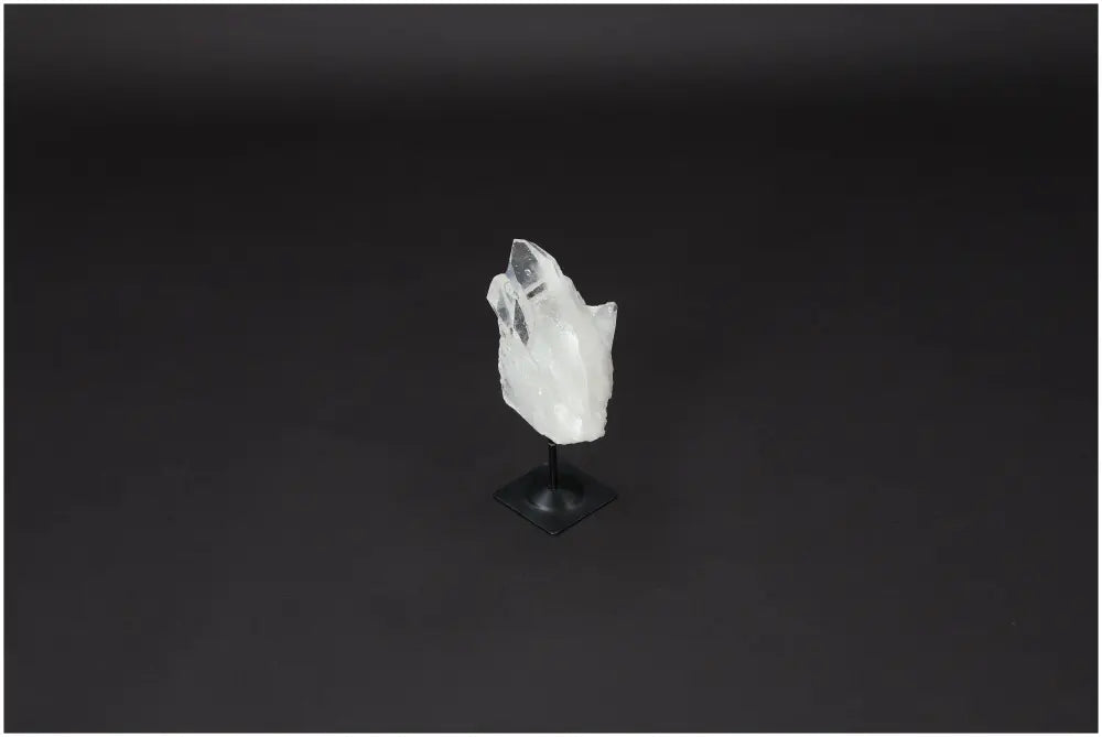 orbitvu|type:image2d