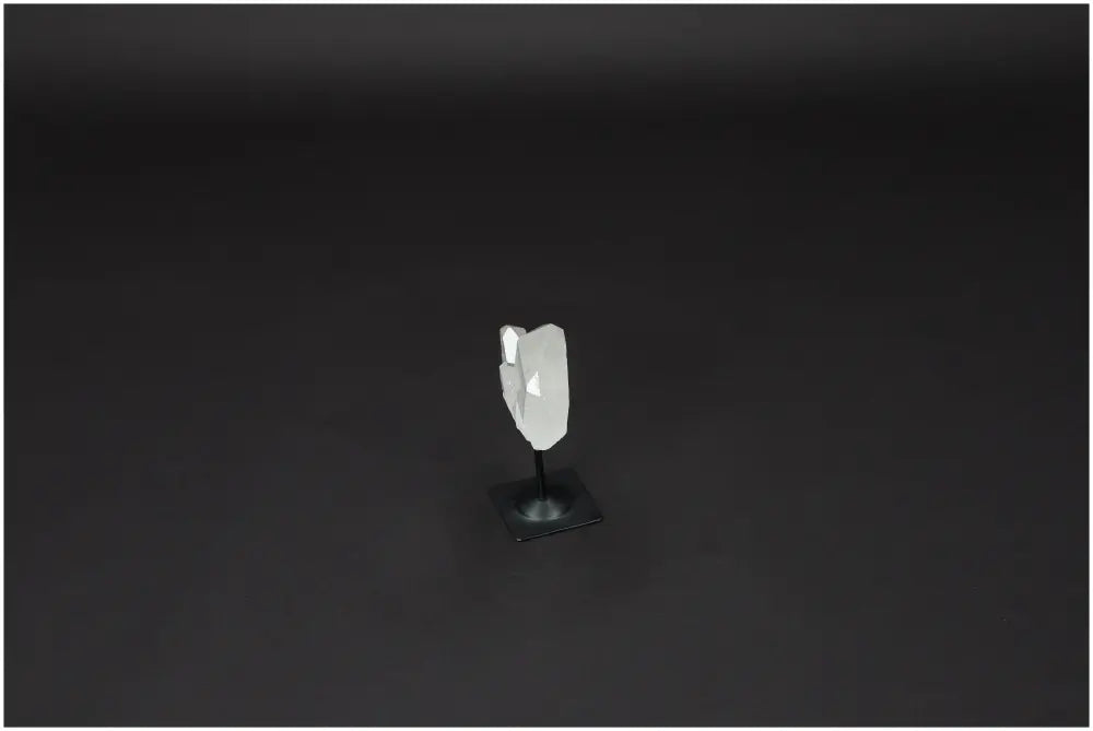 orbitvu|type:image2d