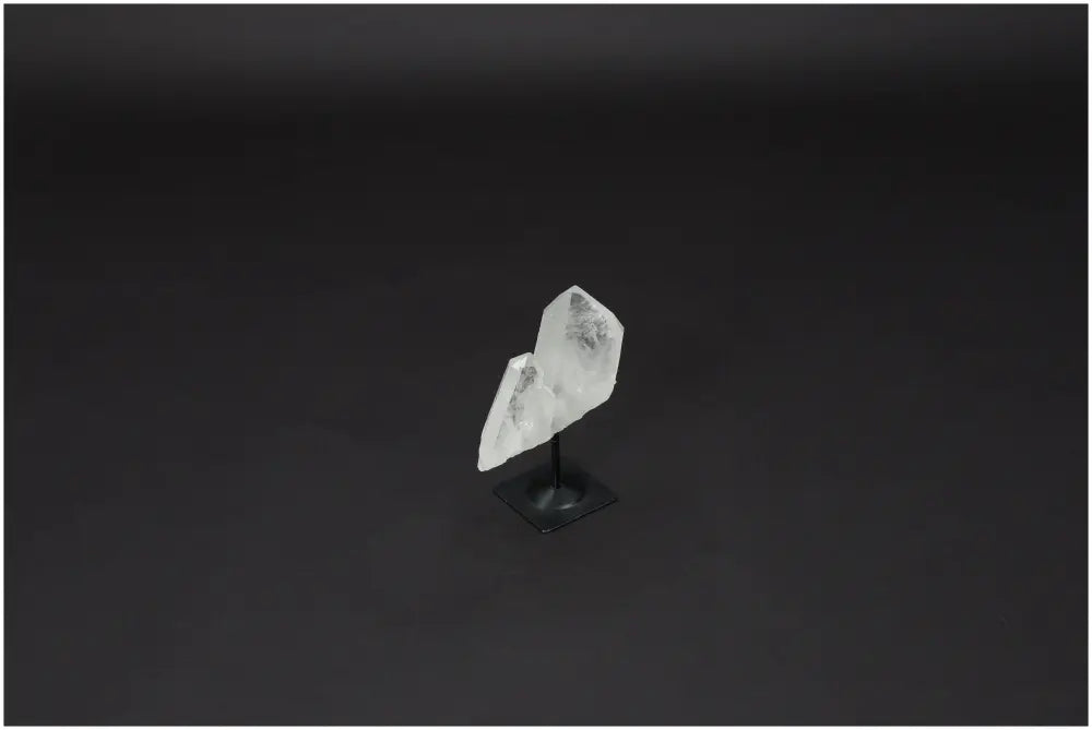 orbitvu|type:image2d