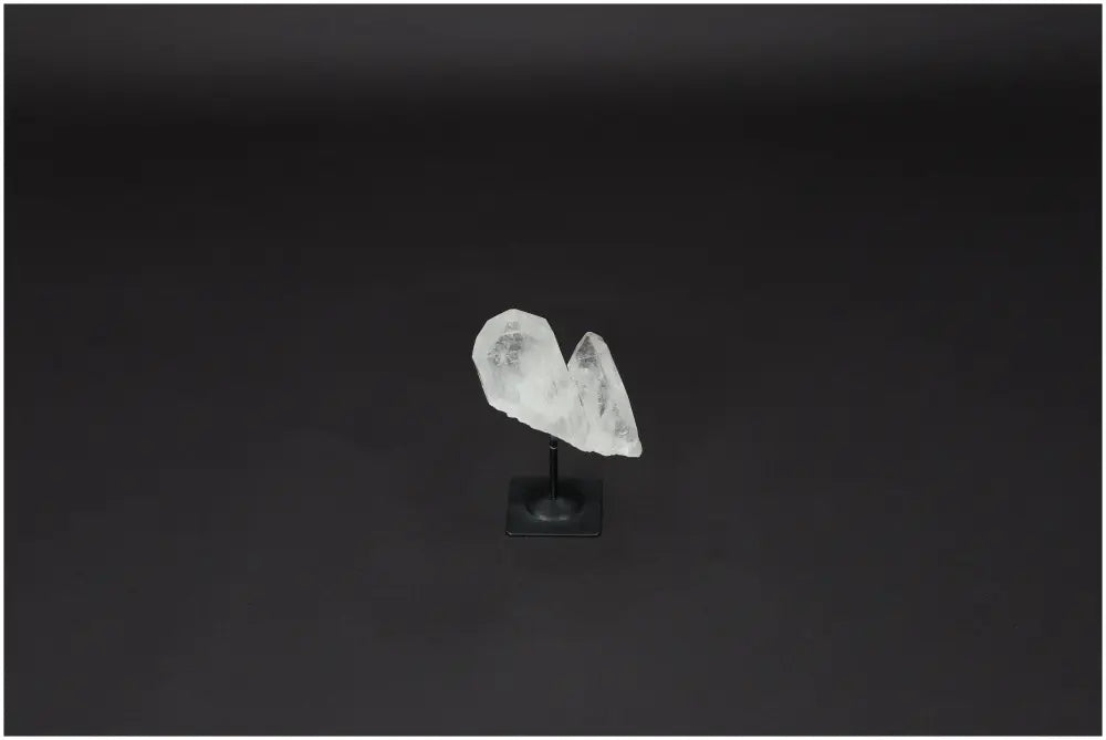 orbitvu|type:image2d