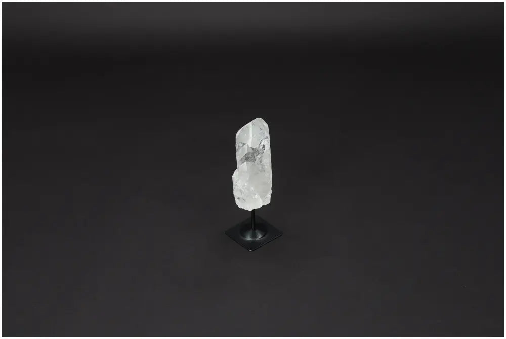 orbitvu|type:image2d